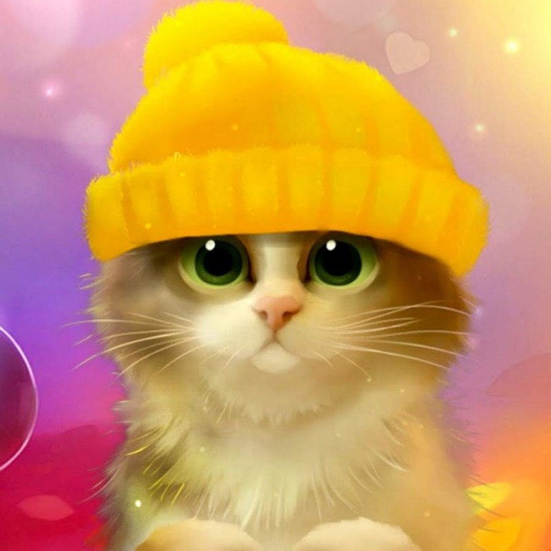 Шапочка котика