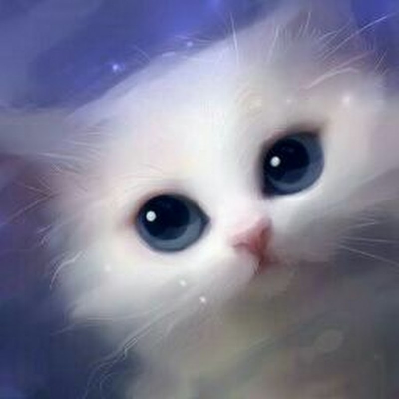Котики няшки