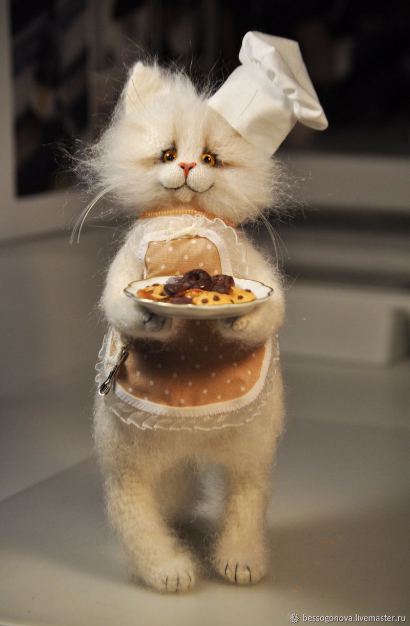 Коты кулинары