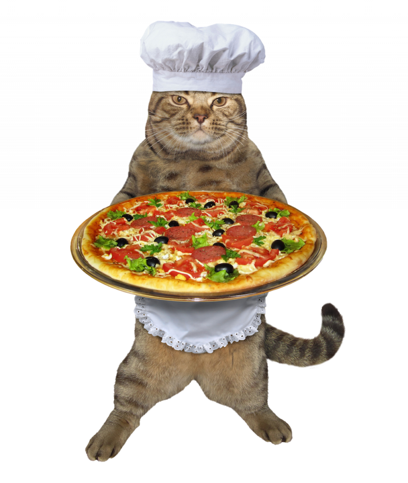 Кот шеф повар