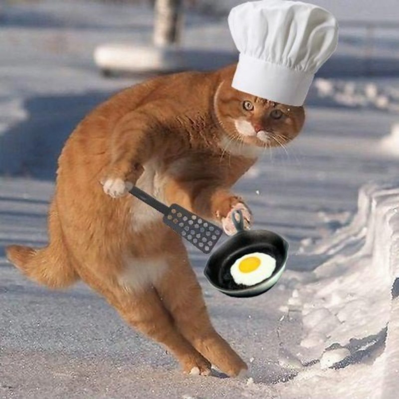 Котенок повар