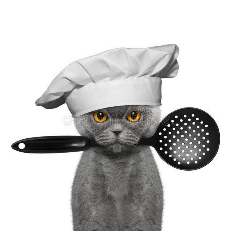 Котик шеф повар