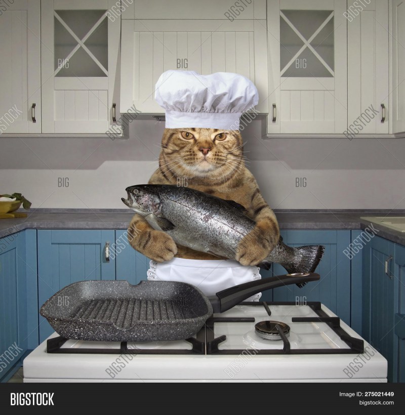 Cat the Cook кухня