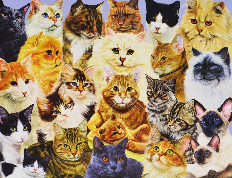 Пазл Ravensburger XXL парад кошек (10527), 100 дет.
