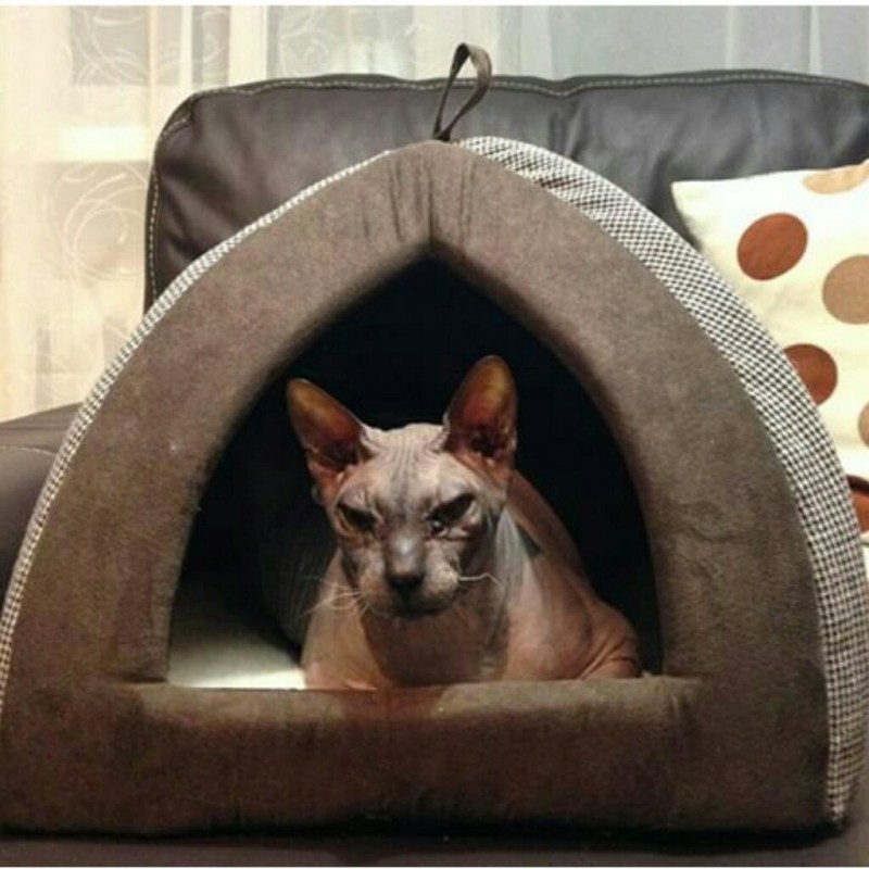 Домик лежанка для кошки своими руками