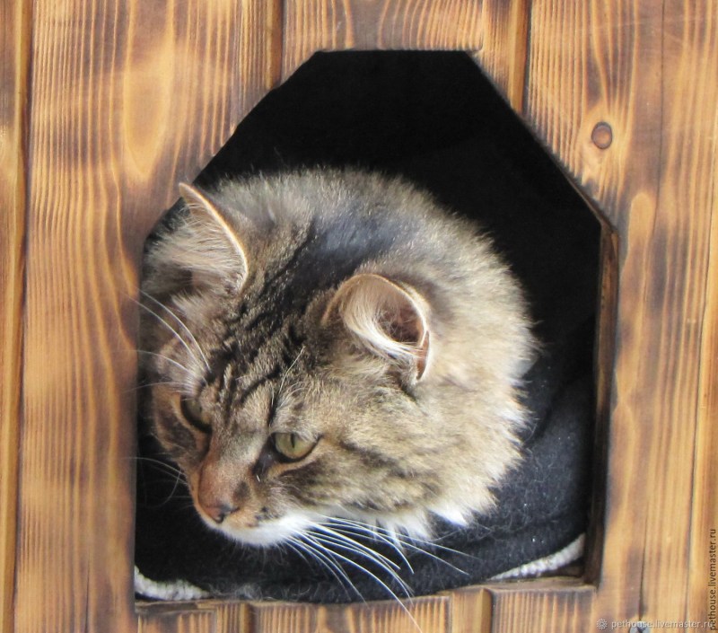 Уличный домик для кошки