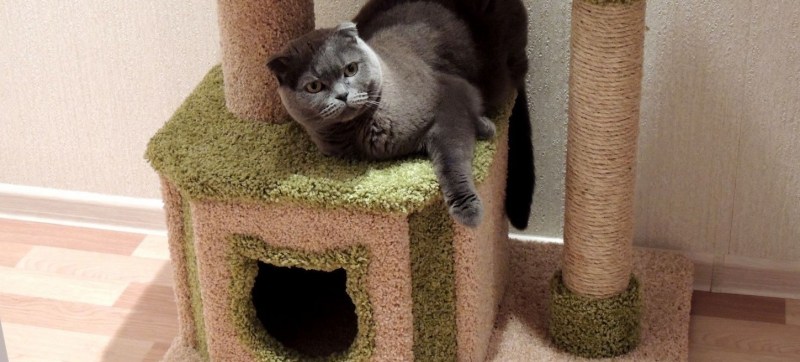 Дом для кота