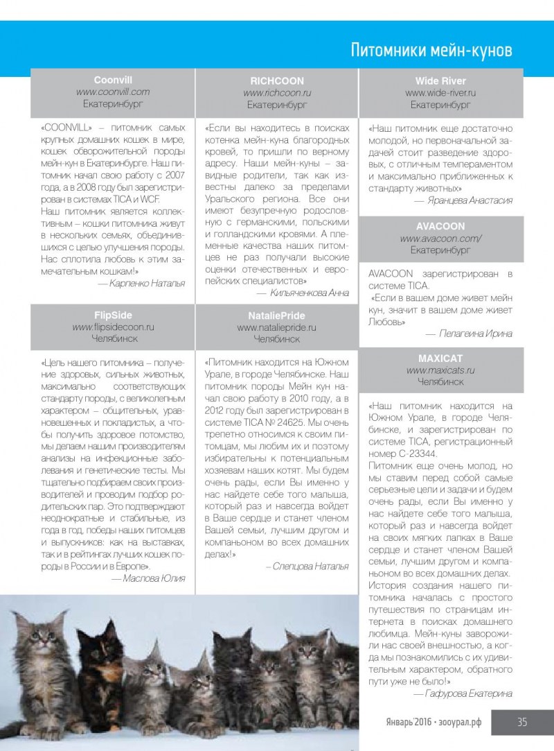 Стандарт Мейн куна