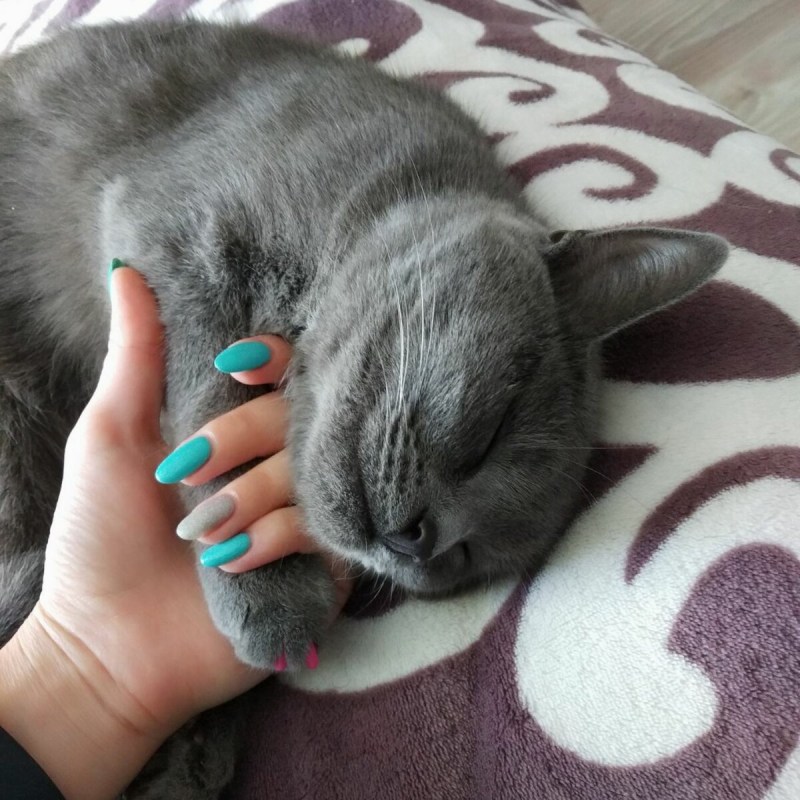 Накладки на когти