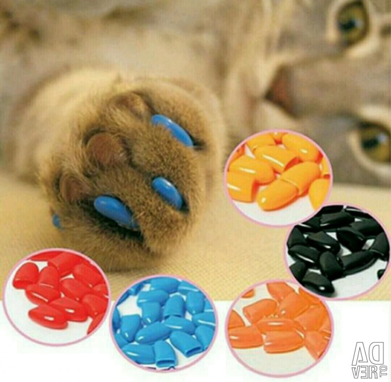 Кошка на ногтях