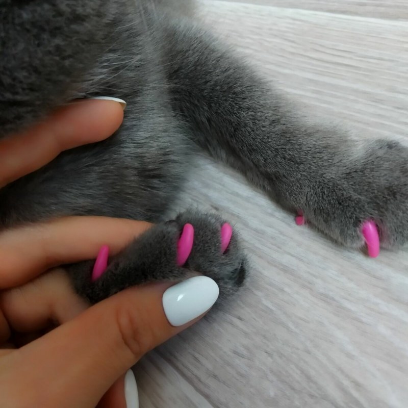 Накладные ногти для кошек