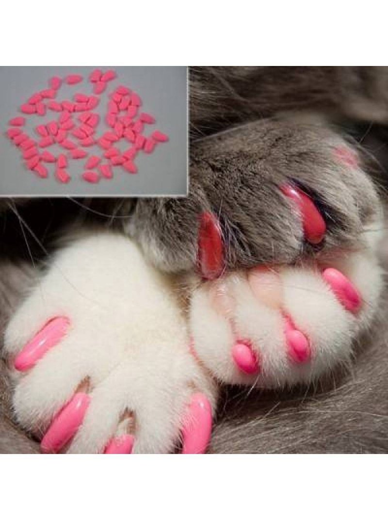 Мягкие коготки для кошек