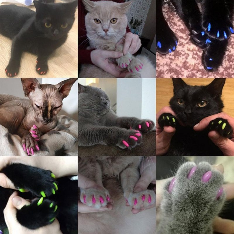 Кошка на ногтях