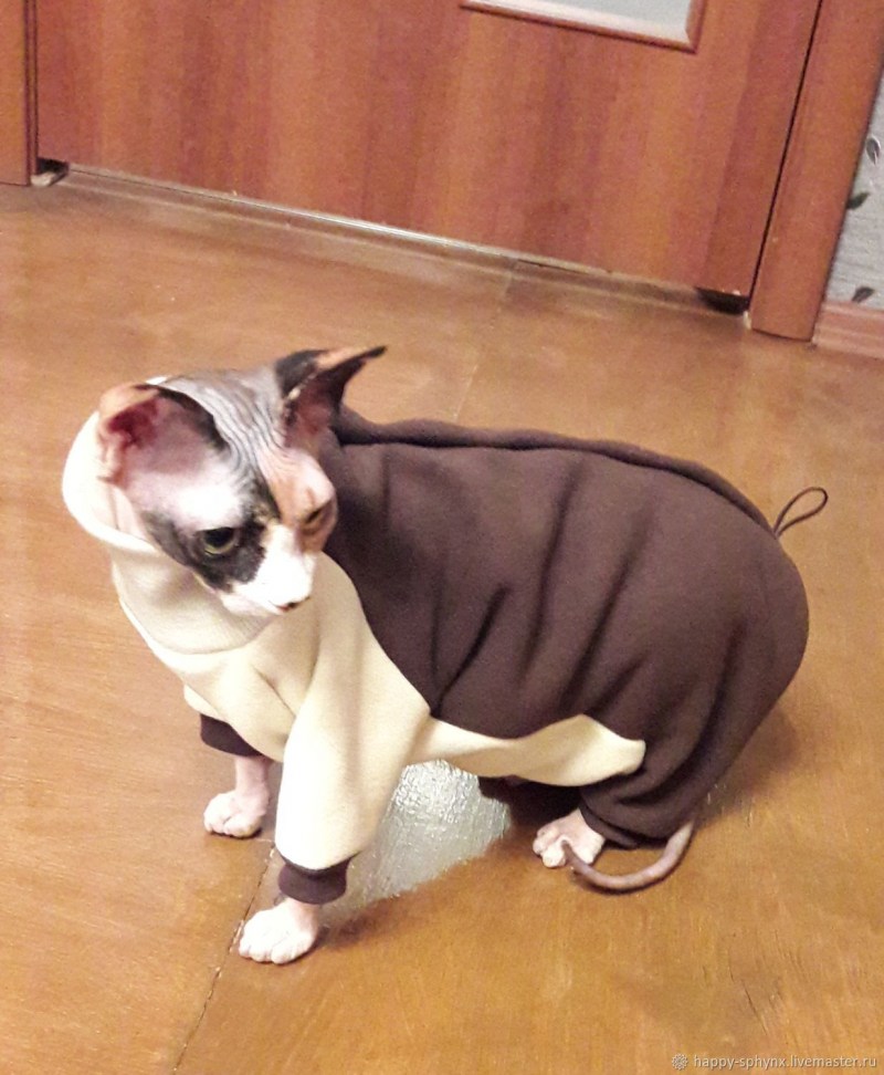 Пошив одежды для кошек