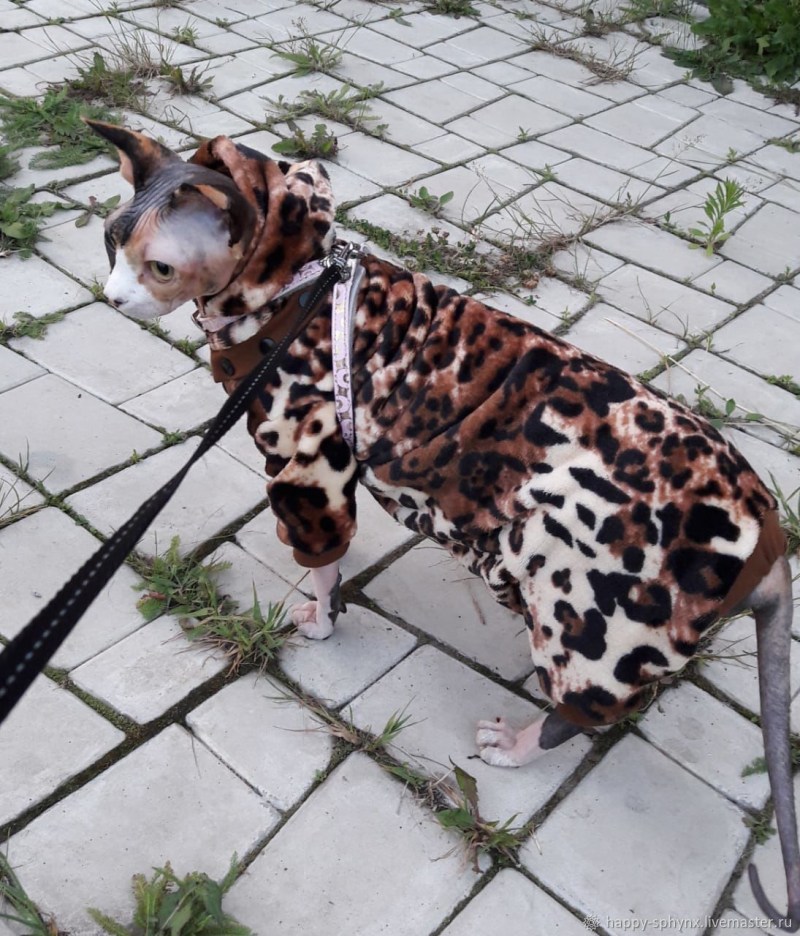 Комбинезон для кота