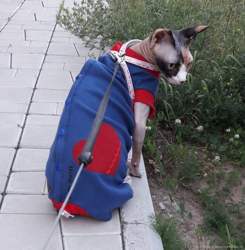 Комбезы для кошек