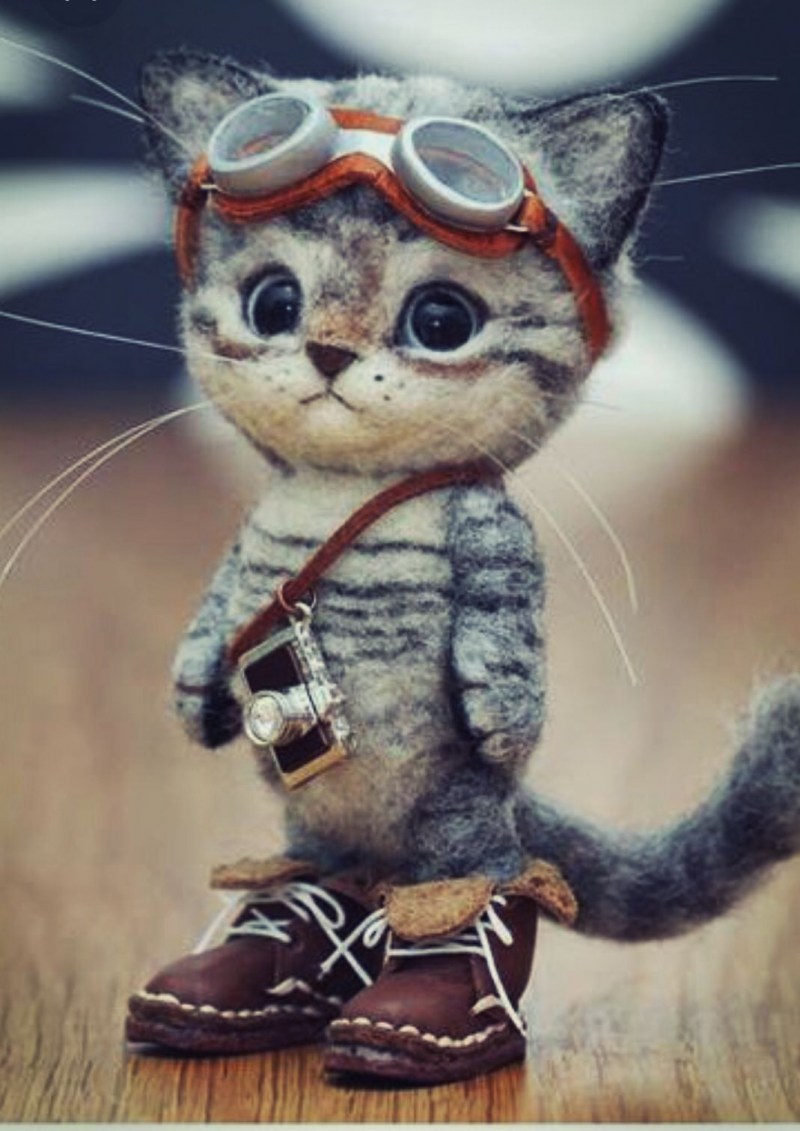 Кот в очках игрушка