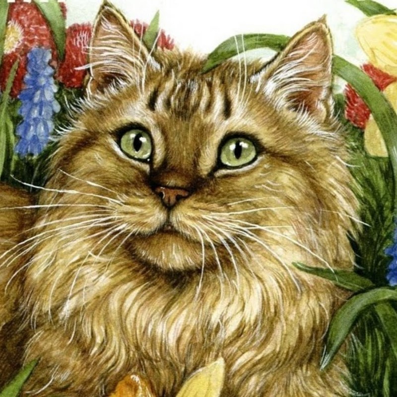 Художник Debbie Cook