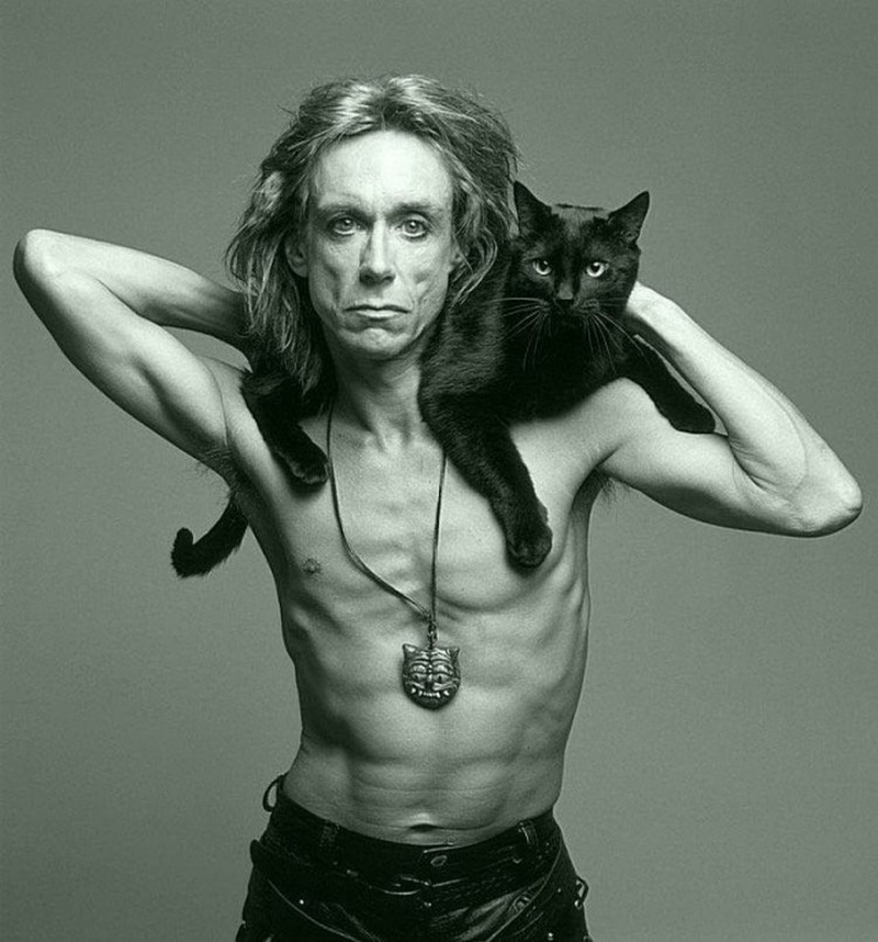 Iggy Pop