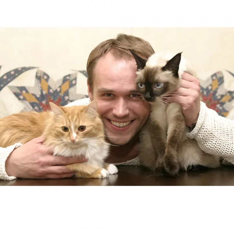 Максим Аверин коты