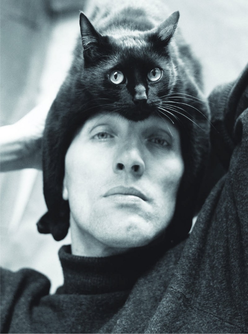 Звезды с кошками