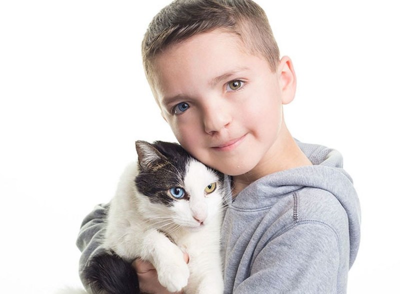 Черный котенок подросток