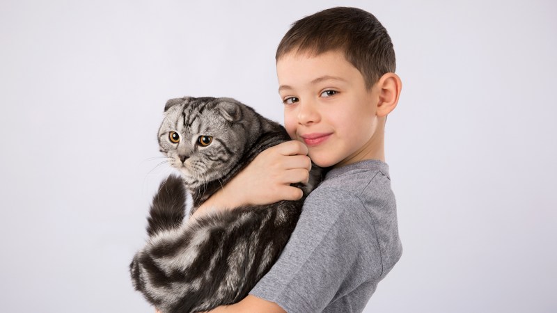 Нашлась кошка Тагил
