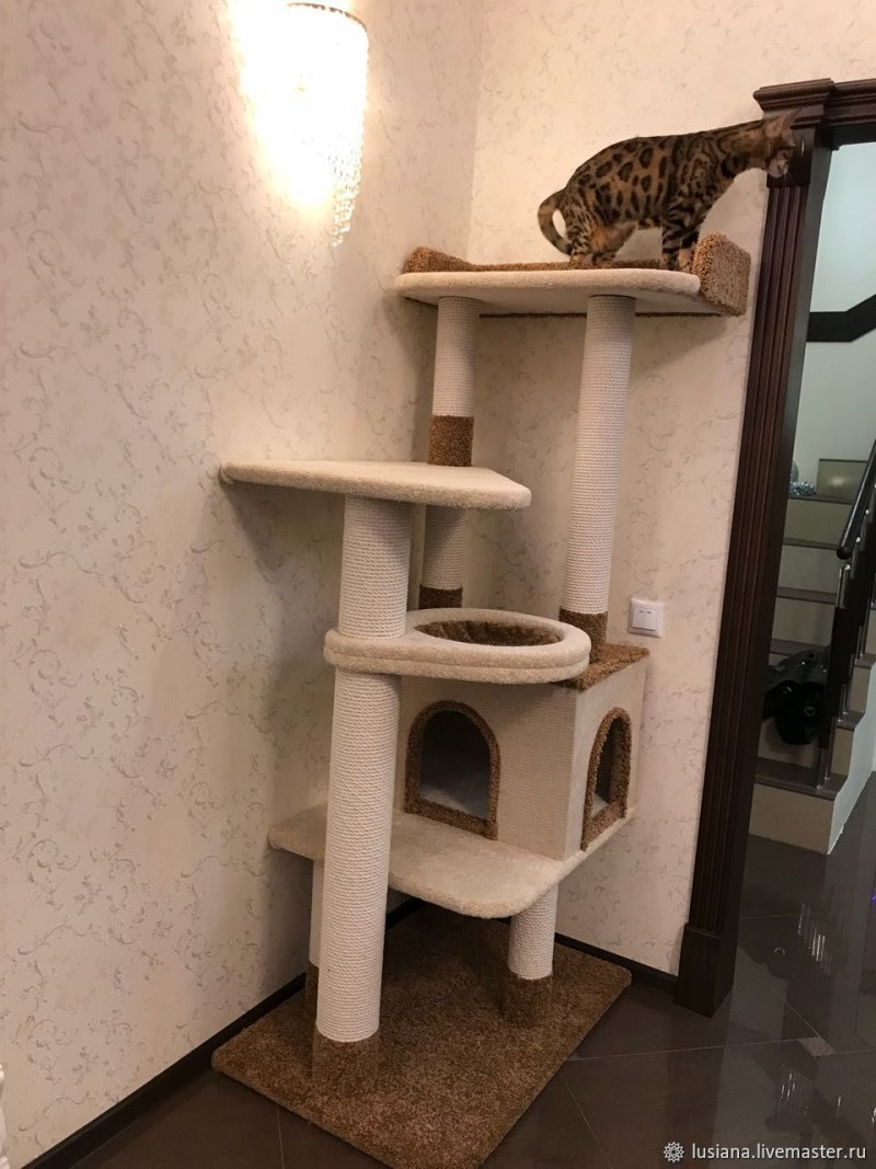 Домик для кошки Размеры