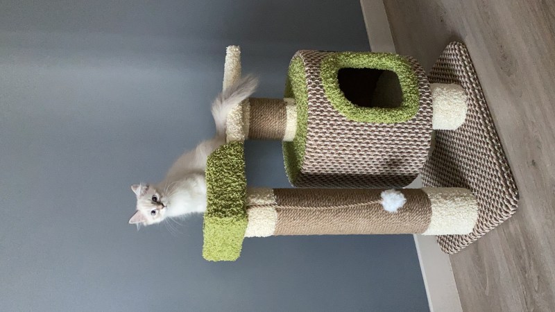Домик для кошки чертеж