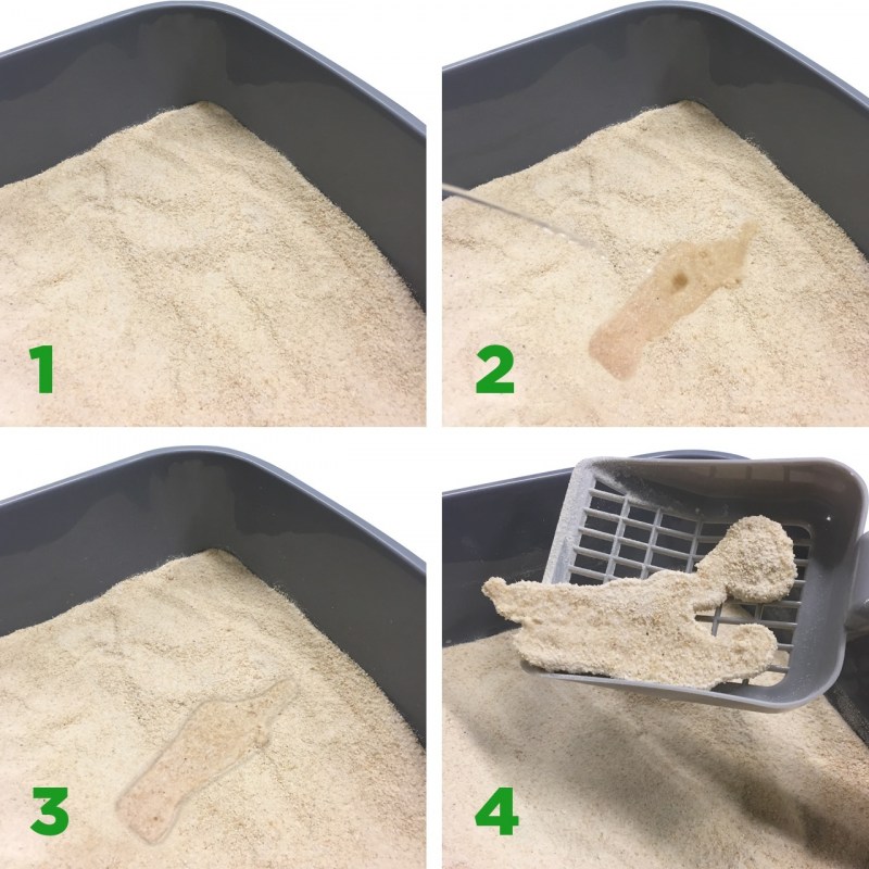 #Almo nature Cat Litter 100% натуральный биоразлагаемый комкующийся наполнитель