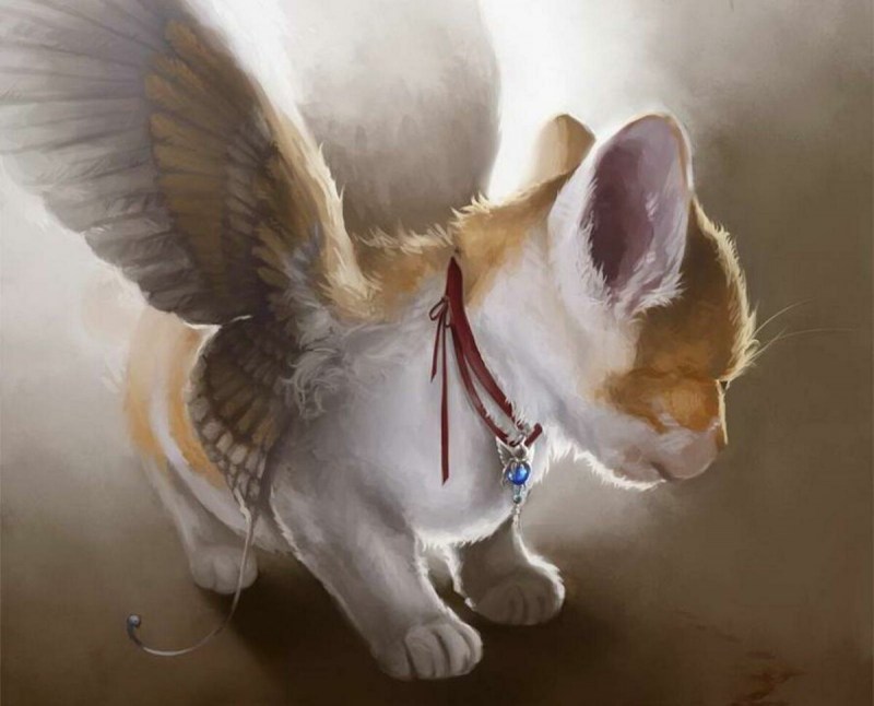 Кот с крыльями