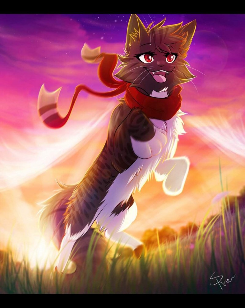 Коты Воители River Spirit воительница