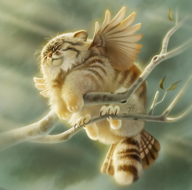 Кот с крылышками