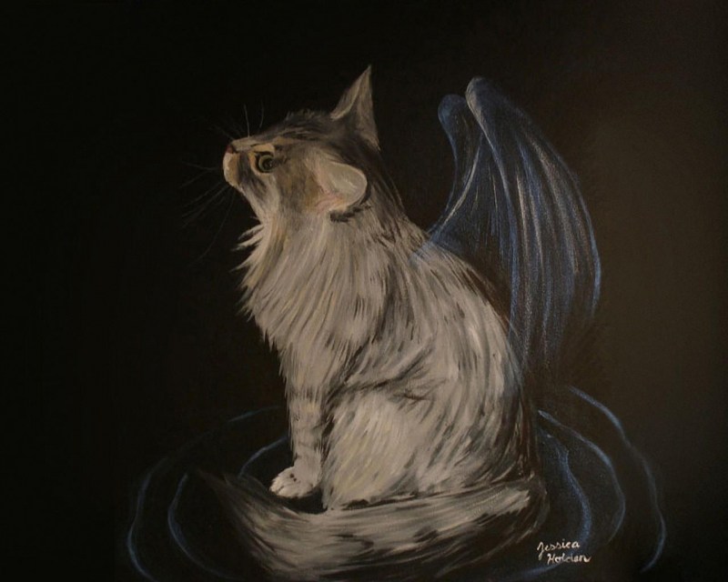 Ангельский кот