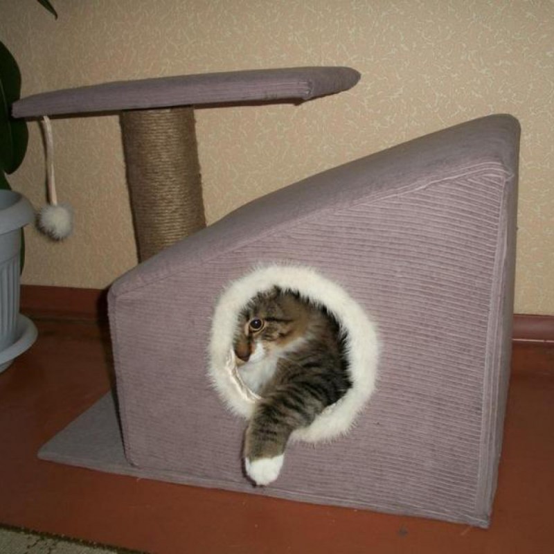 Самодельные игрушки для котят лежанки