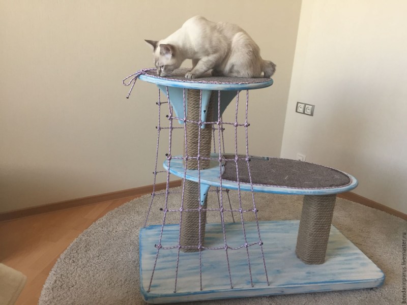 Уголок для кота в квартире