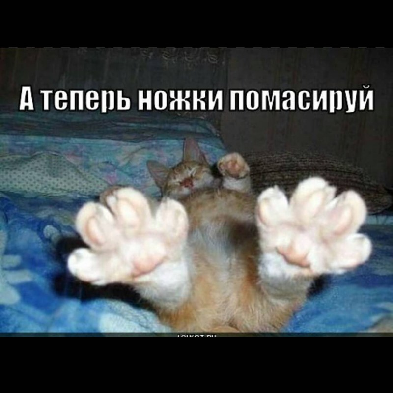 Нюхни пятку