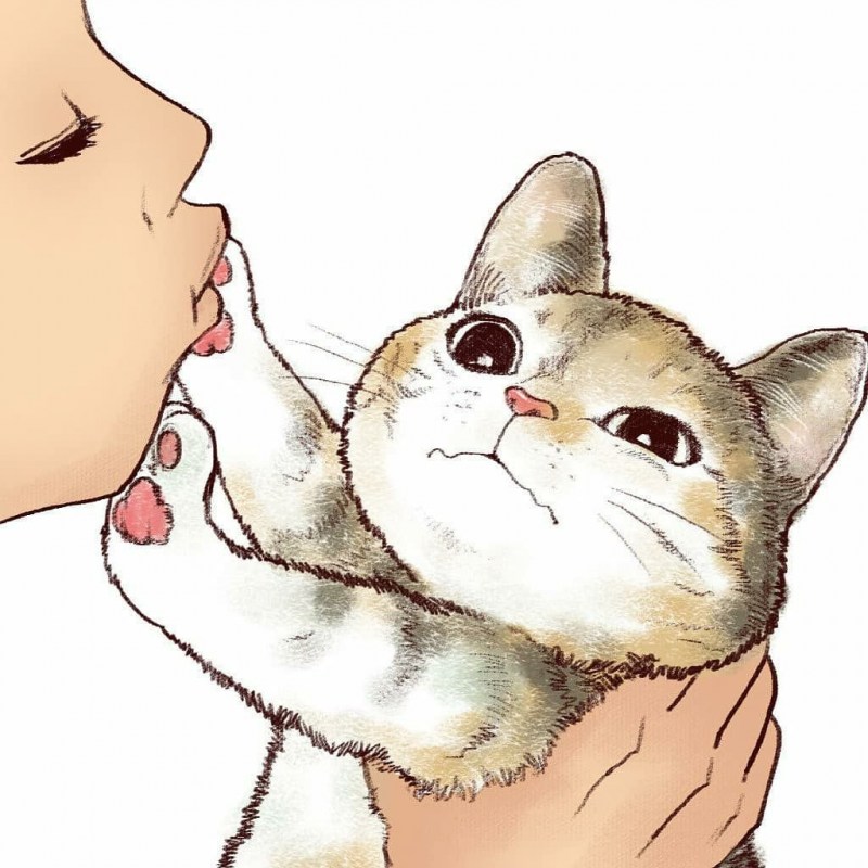 Котики обнимаются