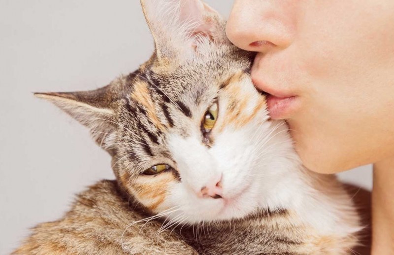 Человек целует кота