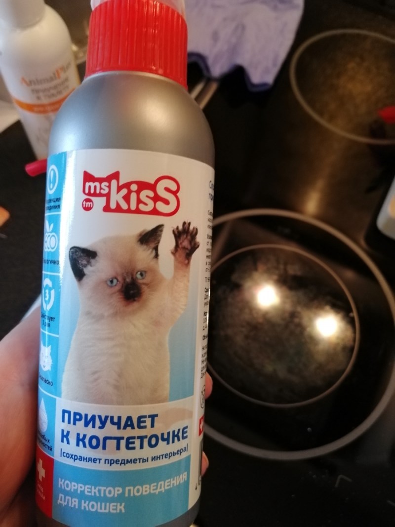 Когтеточка кот Барон