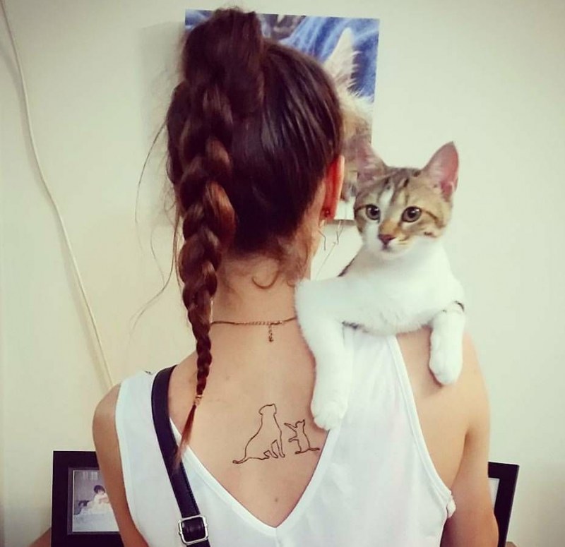 Тату кошки для девушек