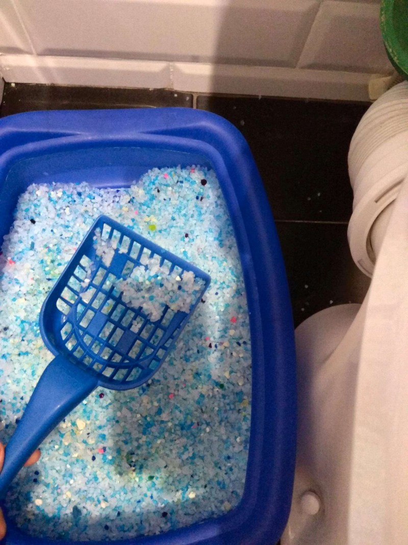 Силикагель для кошачьего туалета