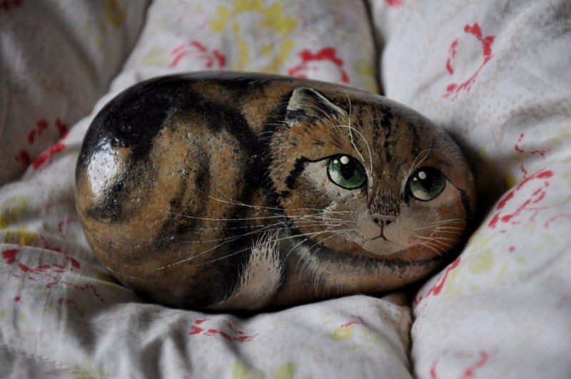 Уродливый кот