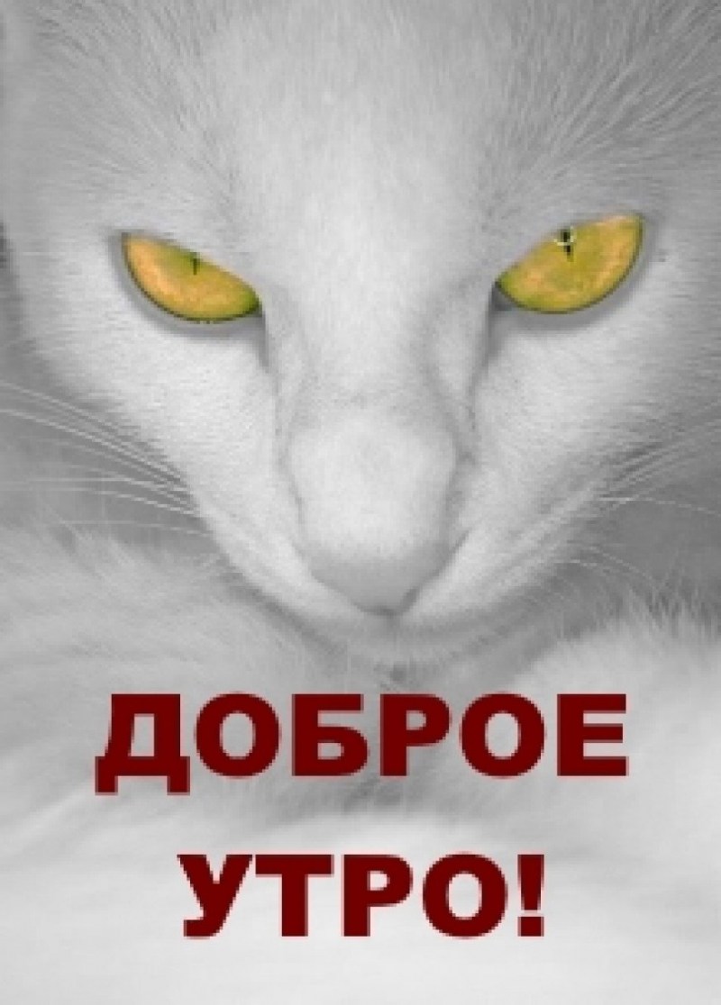 Ацапкина Мария