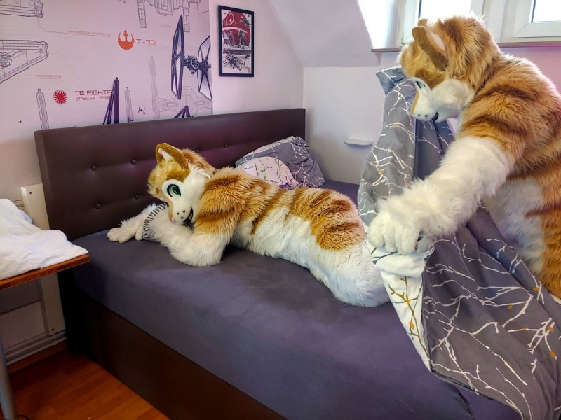 Ветеринар с кошкой