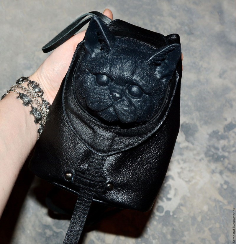Кошачий стригущий лишай