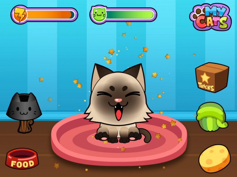 Игры с котейкой
