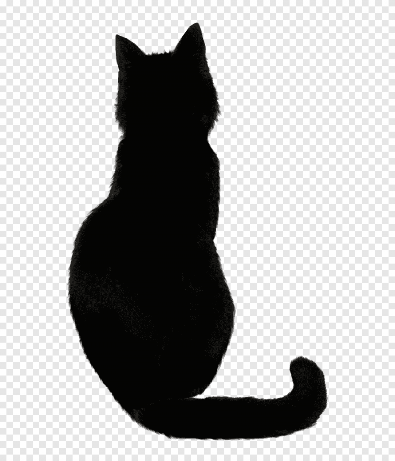 Силуэт сидящей кошки со спины