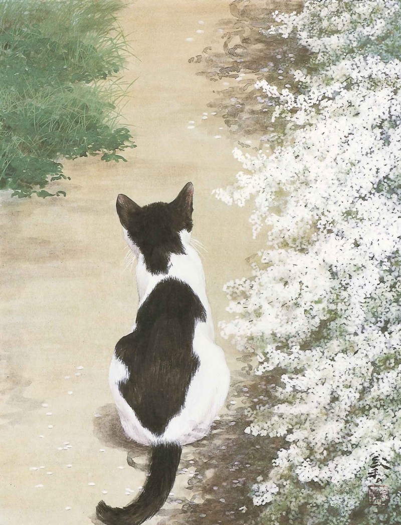 Рисунок котик на дорожке