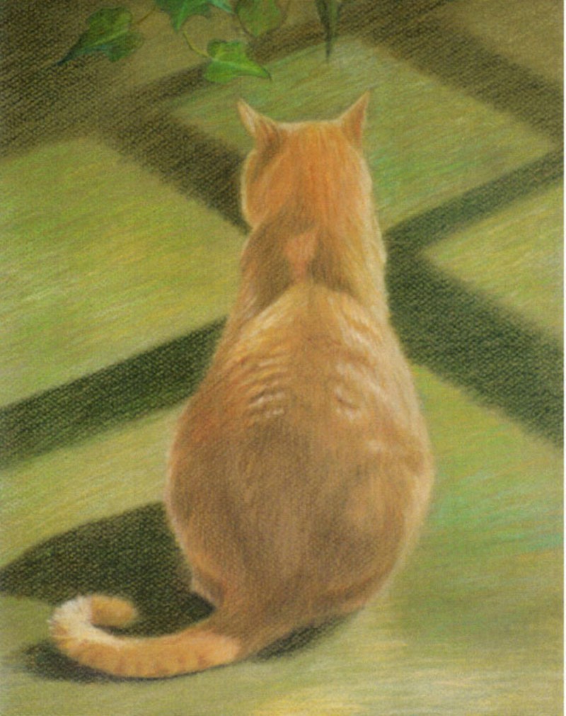 Рисуем кошку сидящей спиной
